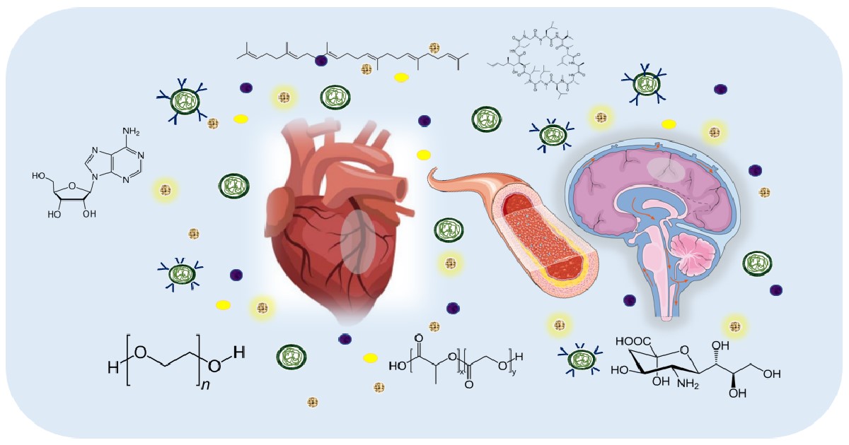 Graphical abstract - Graphical Abstract was created using images obtained from Smart Servier Medical Art (smart.servier.com) CC BY 3.0.